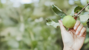 connectlead vitaliteit veerkracht 4 kopiëren connectlead vitaliteit veerkracht 4 kopiëren