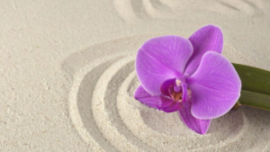 werkwijze connectlead inhoud 3 kopiëren werkwijze connectlead inhoud 3 kopiëren